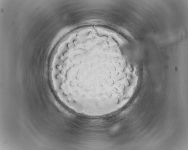 X0000062901421200602031821