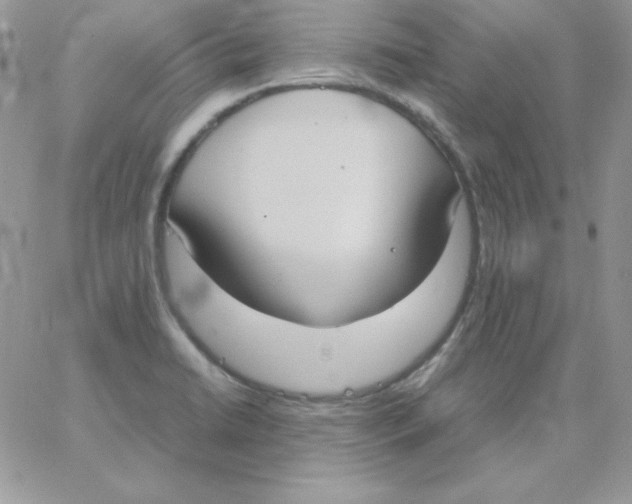 X0000062901422200602031821