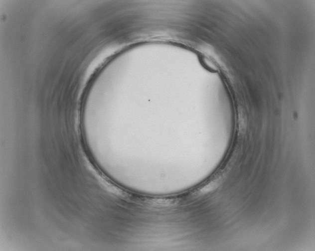 X0000062901424200602031821