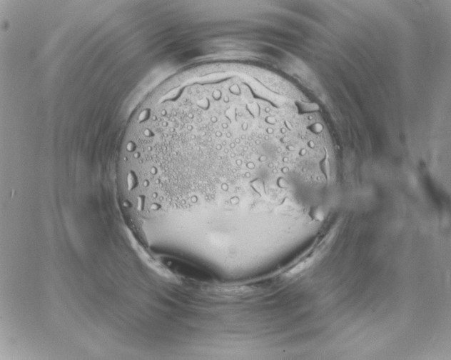 X0000062901425200602031821