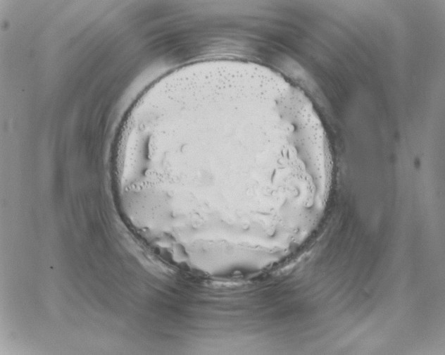 X0000062901427200602031821