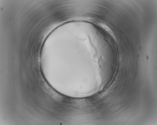 X0000062901428200602031821