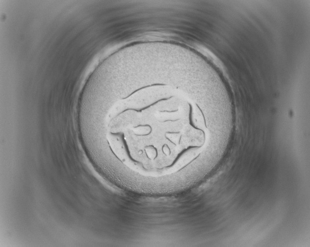 X0000062901429200602031821