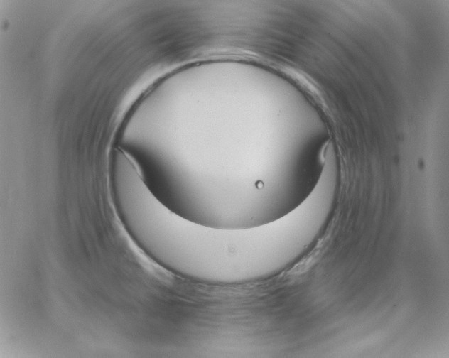 X0000062901430200602031821