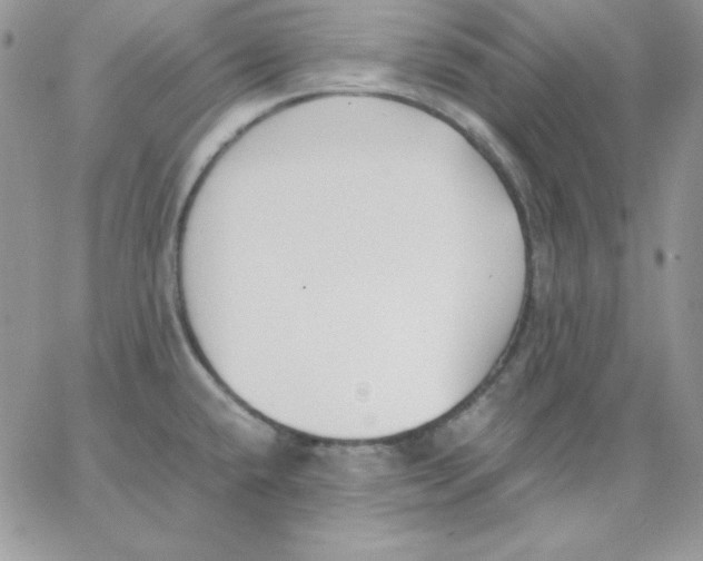 X0000062901432200602031821