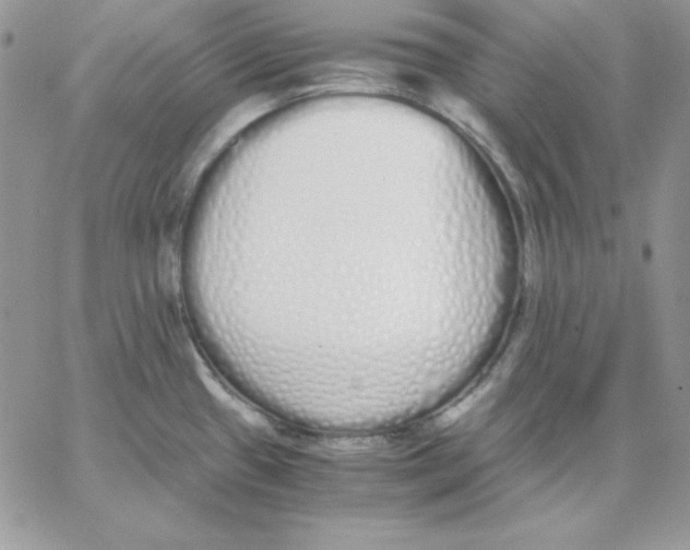 X0000062901433200602031821