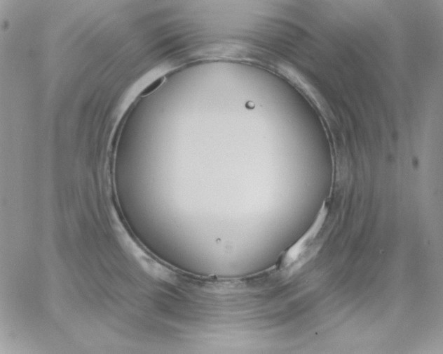 X0000062901434200602031821