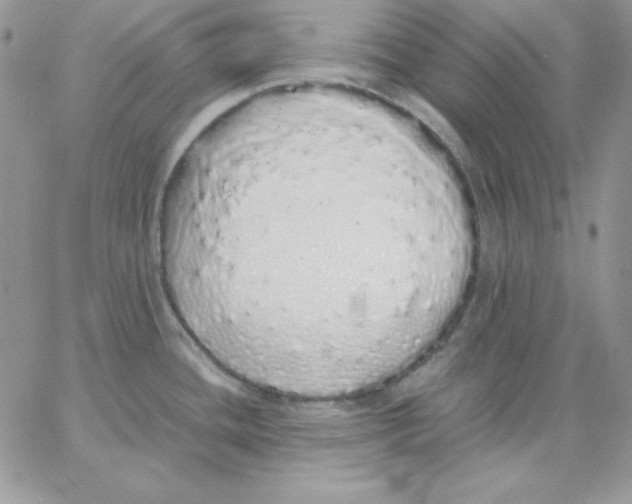 X0000062901436200602031821