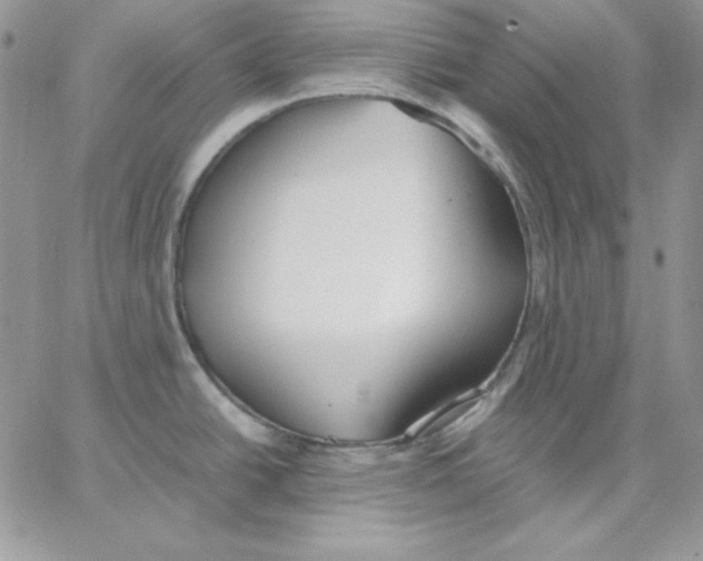 X0000062901438200602031821