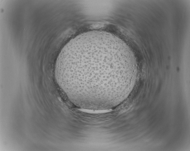 X0000062901441200602031820