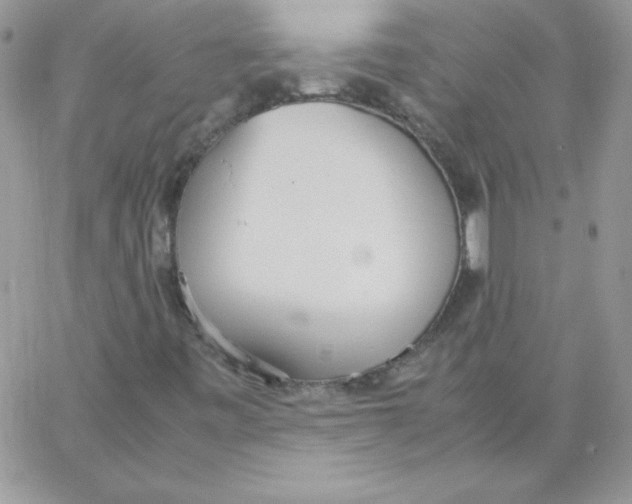 X0000062901443200602031820