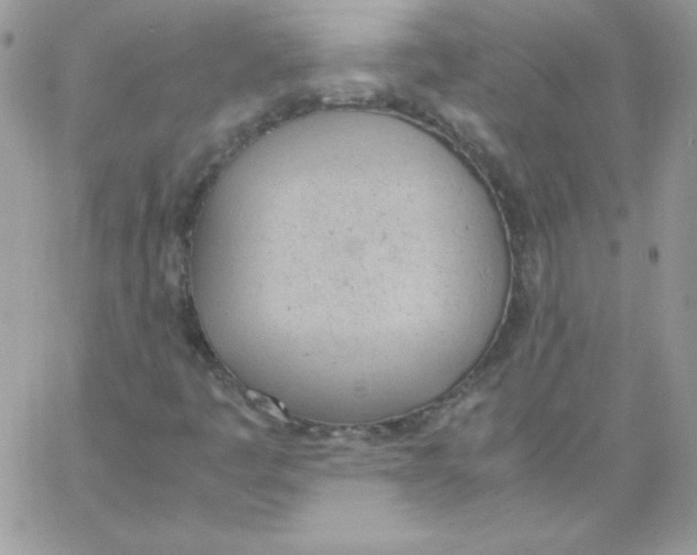 X0000062901445200602031820