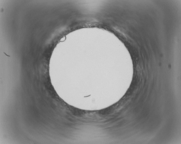 X0000062901447200602031820