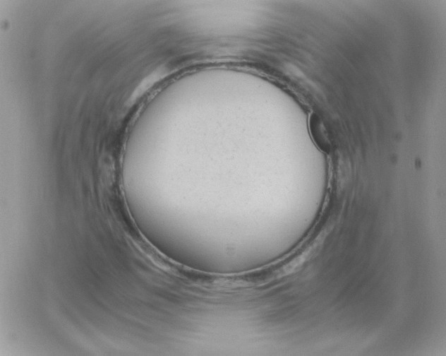 X0000062901449200602031820