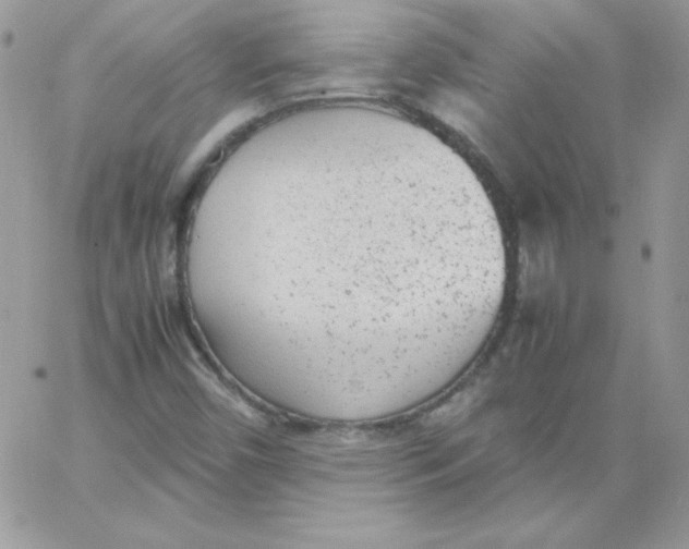 X0000062901450200602031820