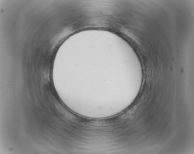 X0000062901451200602031820