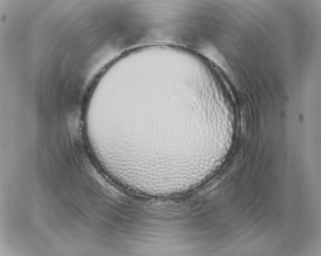 X0000062901452200602031820