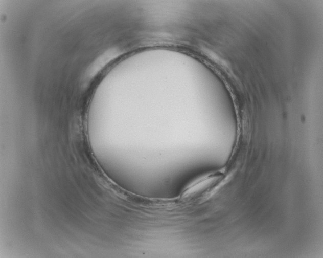 X0000062901453200602031820