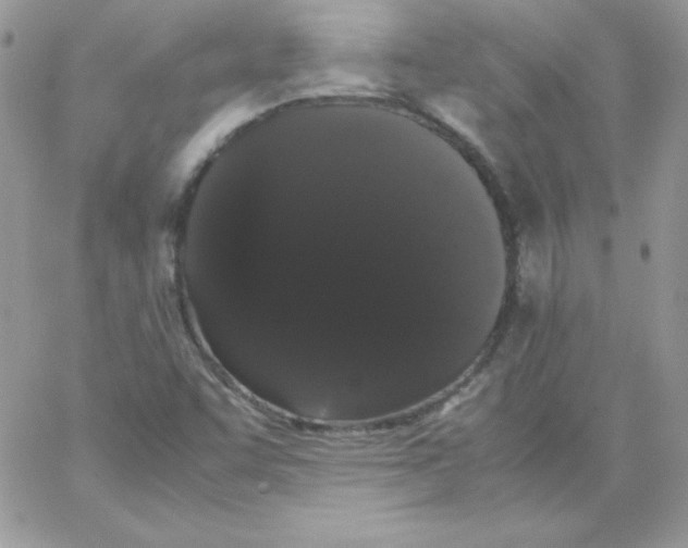 X0000062901455200602031820