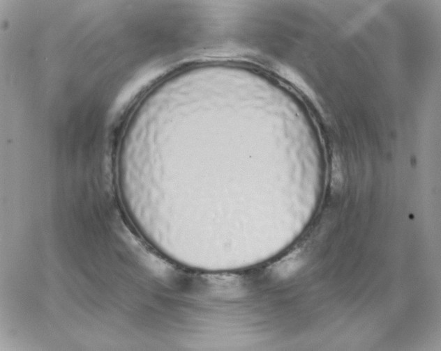 X0000062901456200602031820