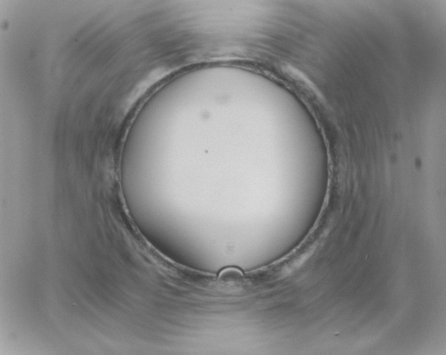 X0000062901457200602031820