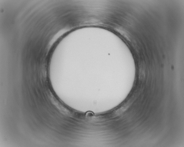 X0000062901458200602031820