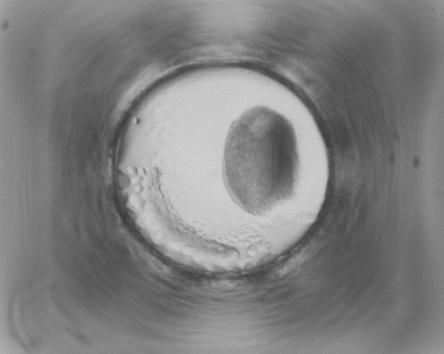 X0000062901459200602031820