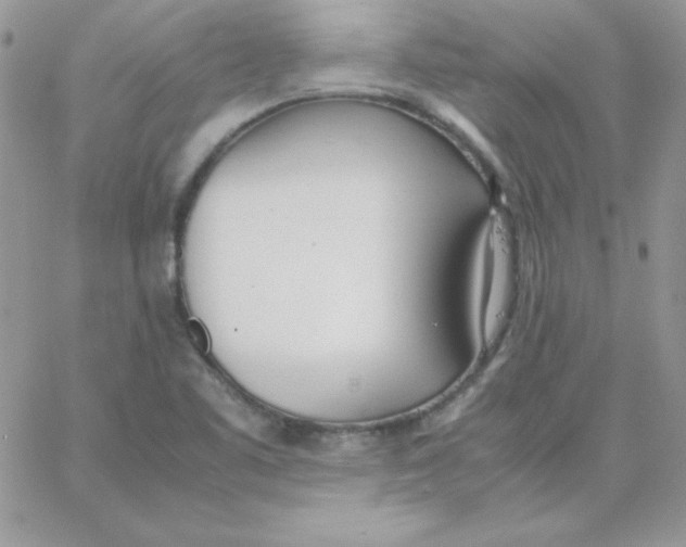 X0000062901461200602031820