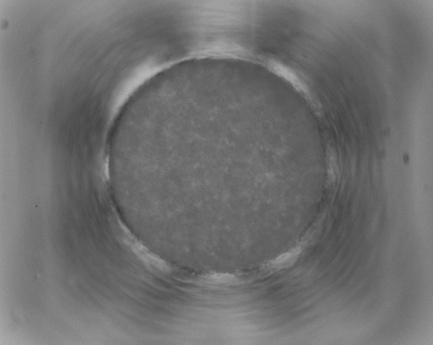 X0000062901462200602031820