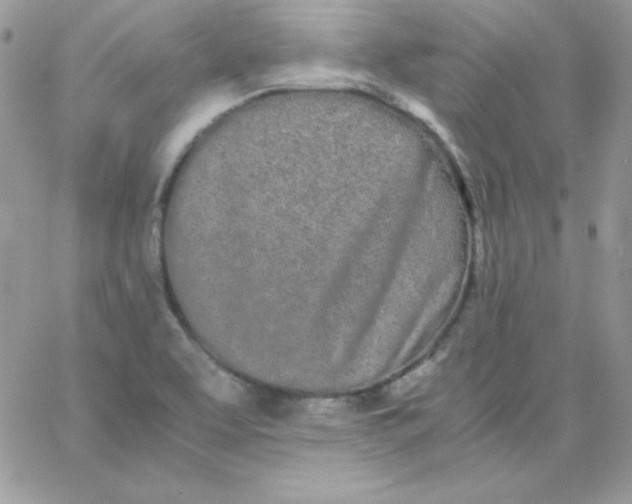 X0000062901463200602031820