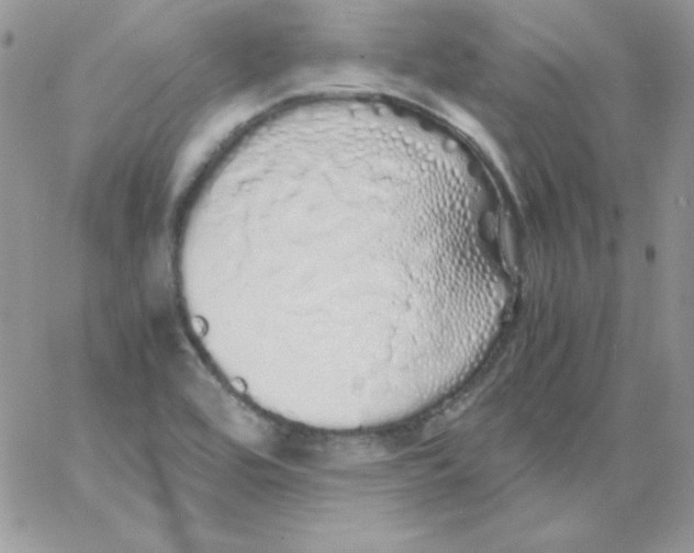 X0000062901464200602031820