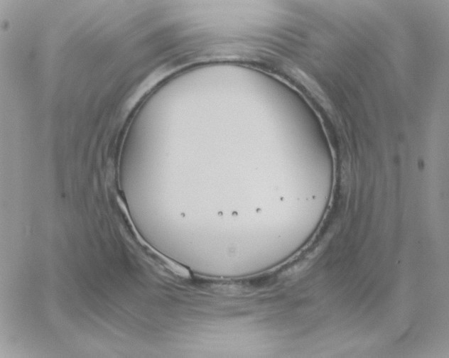 X0000062901465200602031820