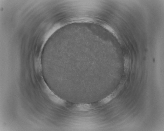 X0000062901466200602031820