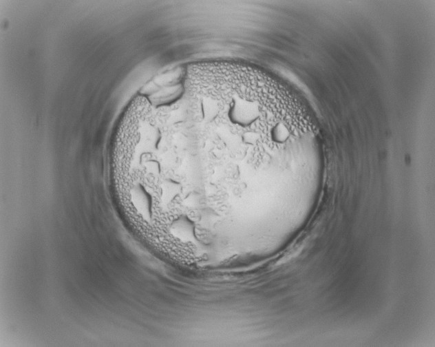 X0000062901467200602031820