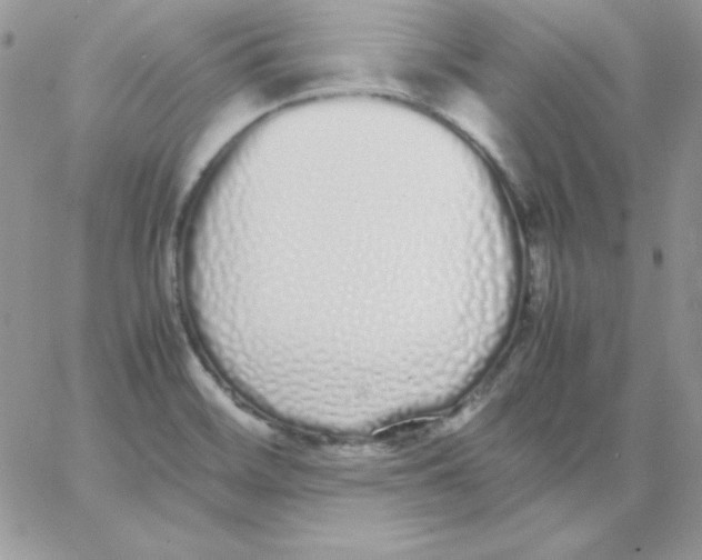 X0000062901468200602031820