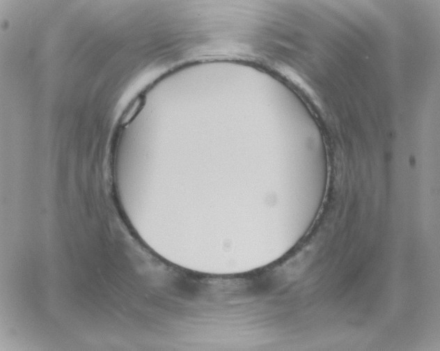 X0000062901469200602031820