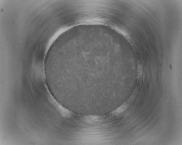 X0000062901470200602031820