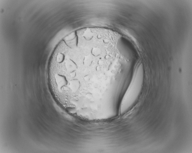 X0000062901471200602031820