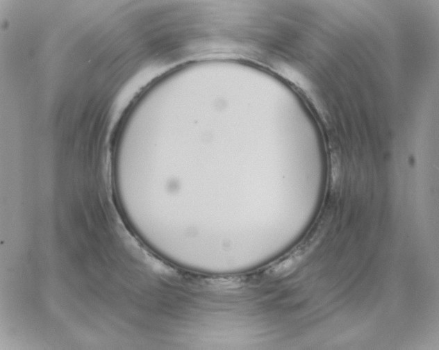 X0000062901472200602031820