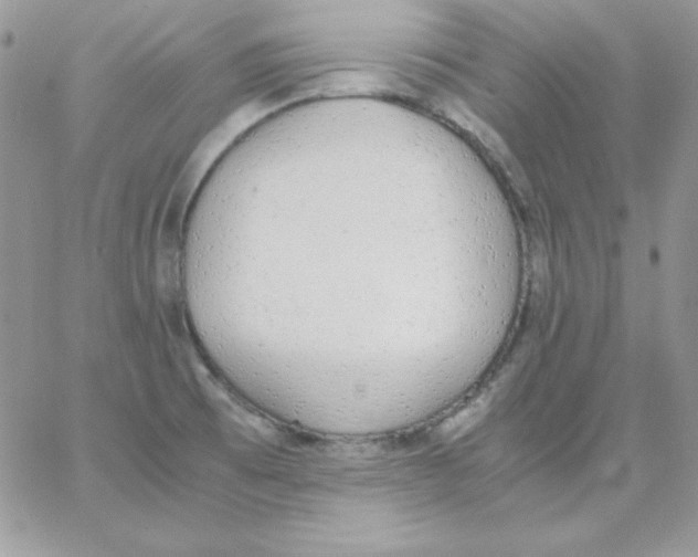 X0000062901473200602031820