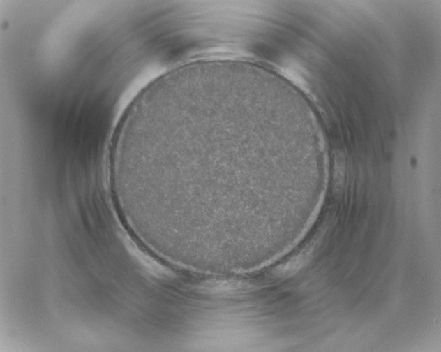 X0000062901474200602031820