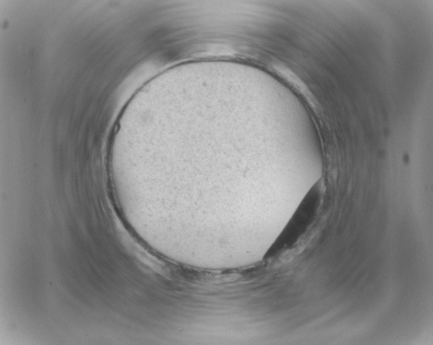 X0000062901475200602031820