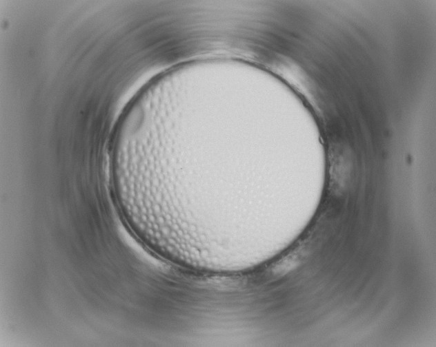 X0000062901476200602031820