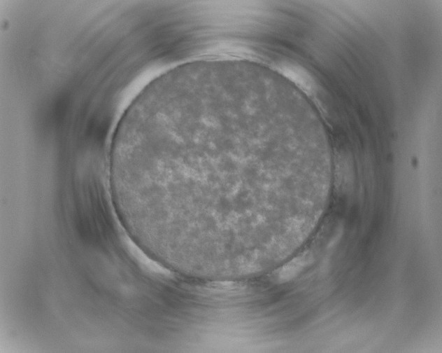 X0000062901478200602031820