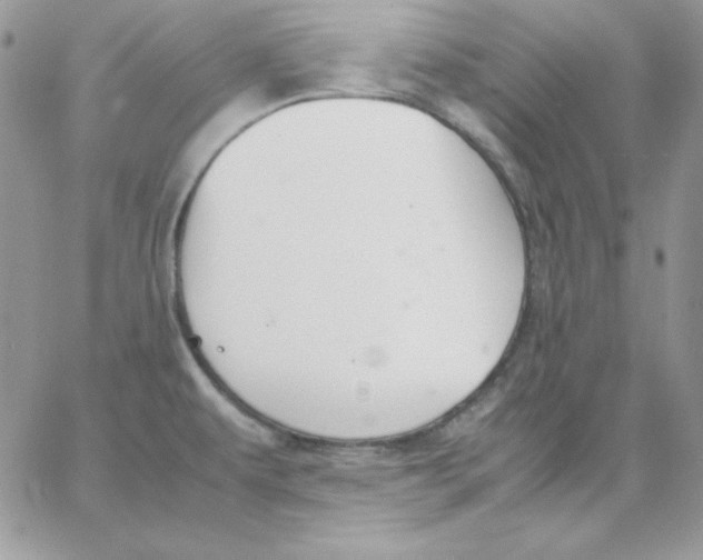 X0000062901479200602031820