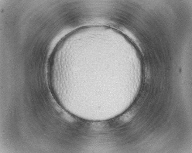 X0000062901480200602031819