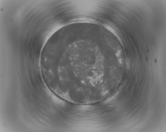 X0000062901482200602031819