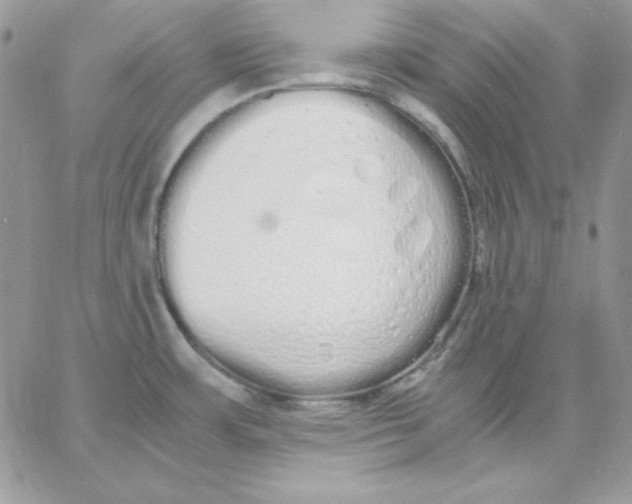 X0000062901483200602031819