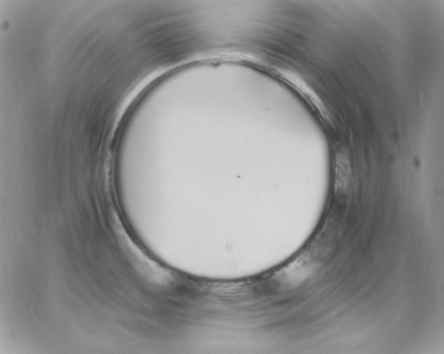 X0000062901484200602031819