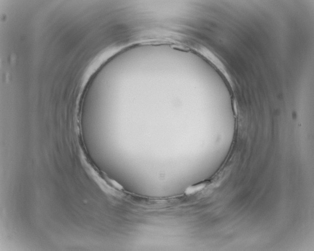 X0000062901485200602031819